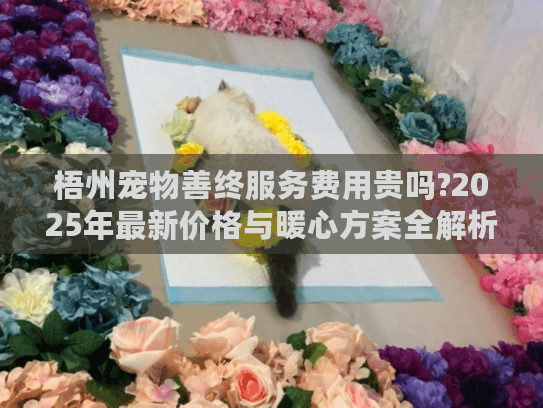 梧州宠物善终服务费用贵吗?2025年最新价格与暖心方案全解析