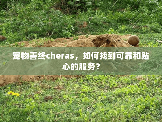 宠物善终cheras，如何找到可靠和贴心的服务？