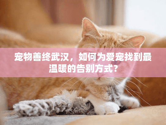 宠物善终武汉，如何为爱宠找到最温暖的告别方式？