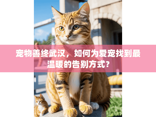 宠物善终武汉，如何为爱宠找到最温暖的告别方式？