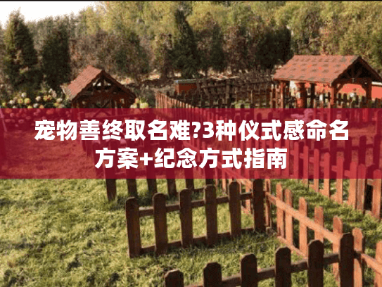 宠物善终取名难?3种仪式感命名方案+纪念方式指南