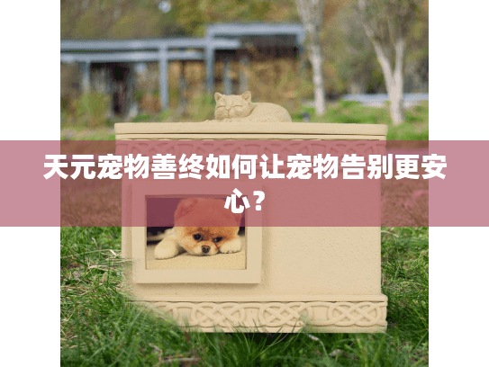 天元宠物善终如何让宠物告别更安心？