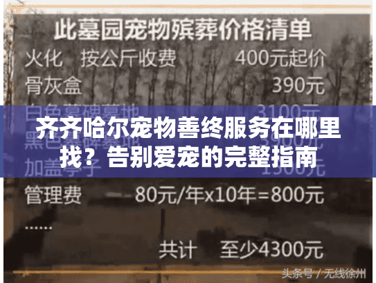 齐齐哈尔宠物善终服务在哪里找？告别爱宠的完整指南