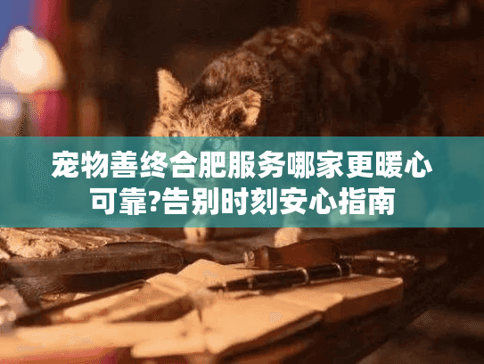 宠物善终合肥服务哪家更暖心可靠?告别时刻安心指南