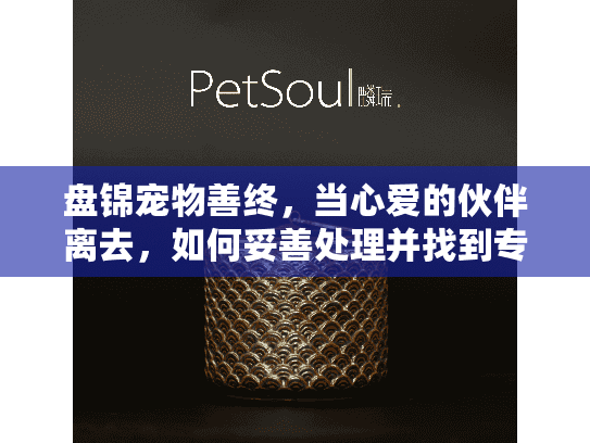 盘锦宠物善终，当心爱的伙伴离去，如何妥善处理并找到专业慰藉？