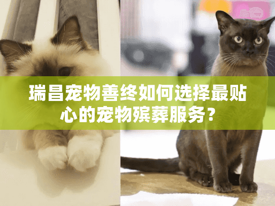 瑞昌宠物善终如何选择最贴心的宠物殡葬服务？