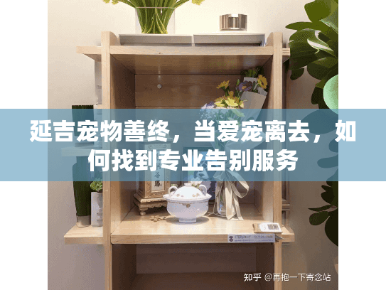 延吉宠物善终，当爱宠离去，如何找到专业告别服务