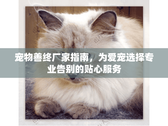 宠物善终厂家指南，为爱宠选择专业告别的贴心服务