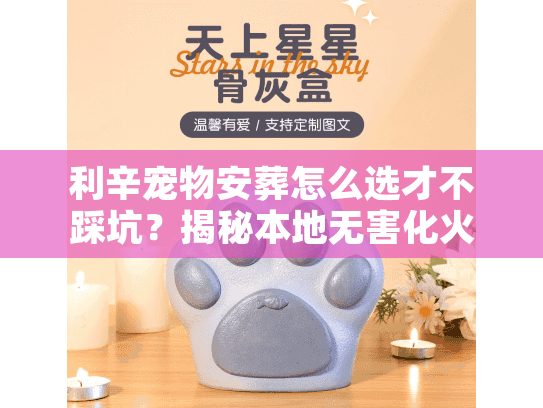 利辛宠物安葬怎么选才不踩坑？揭秘本地无害化火化与告别流程