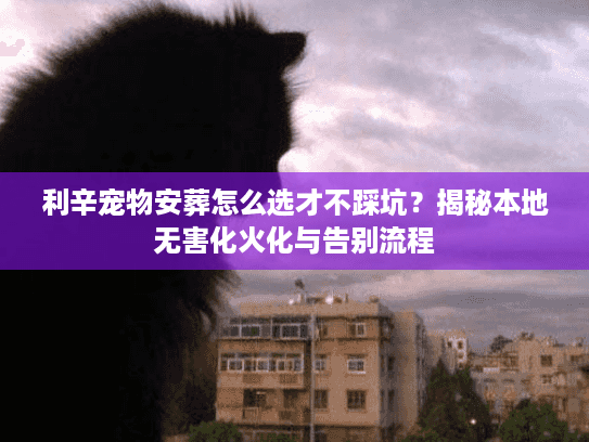 利辛宠物安葬怎么选才不踩坑？揭秘本地无害化火化与告别流程