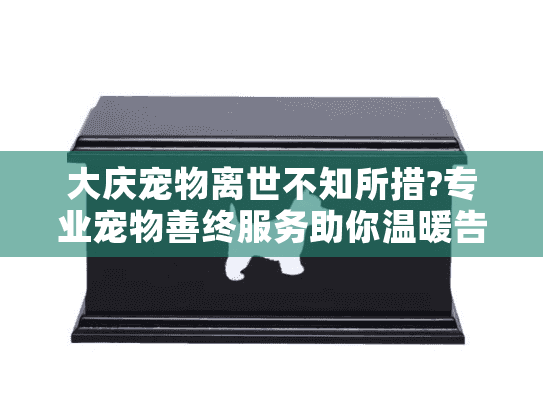 大庆宠物离世不知所措?专业宠物善终服务助你温暖告别