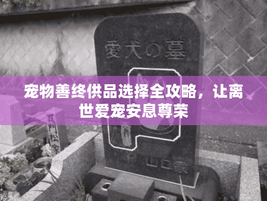 宠物善终供品选择全攻略，让离世爱宠安息尊荣