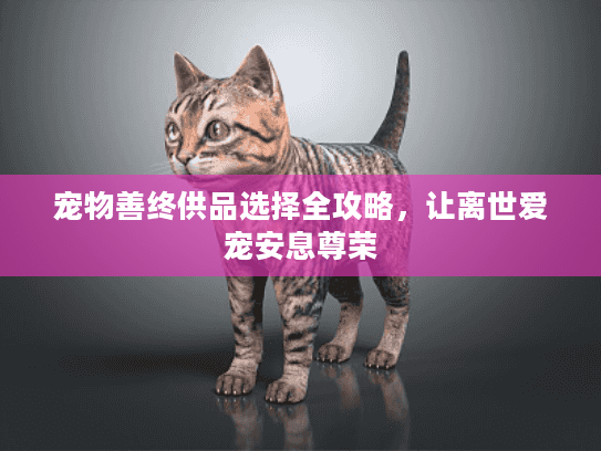 宠物善终供品选择全攻略，让离世爱宠安息尊荣