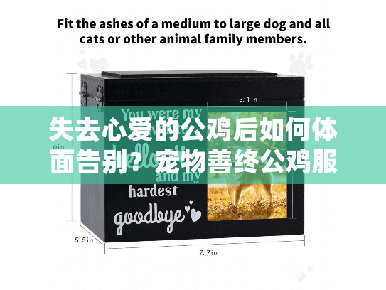 失去心爱的公鸡后如何体面告别？宠物善终公鸡服务详解