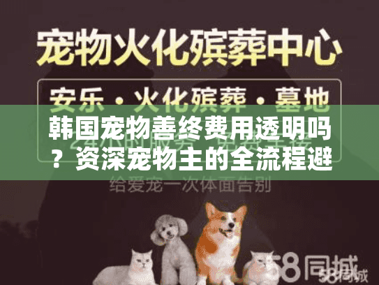 韩国宠物善终费用透明吗？资深宠物主的全流程避坑指南