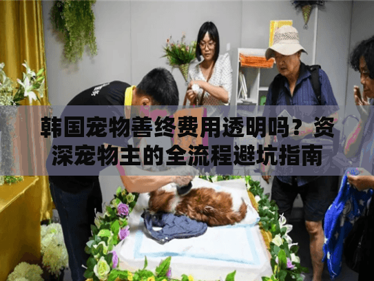 韩国宠物善终费用透明吗？资深宠物主的全流程避坑指南