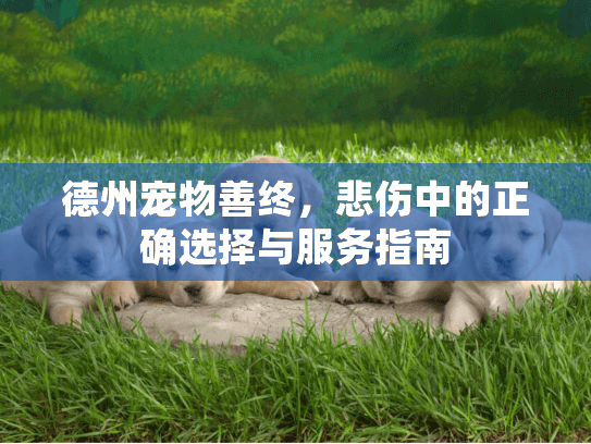 德州宠物善终，悲伤中的正确选择与服务指南