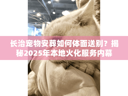 长治宠物安葬如何体面送别？揭秘2025年本地火化服务内幕
