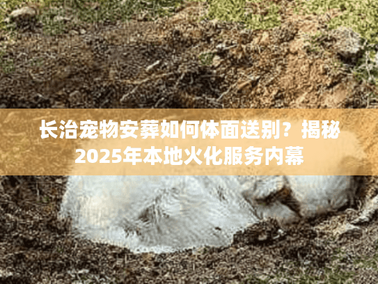 长治宠物安葬如何体面送别？揭秘2025年本地火化服务内幕