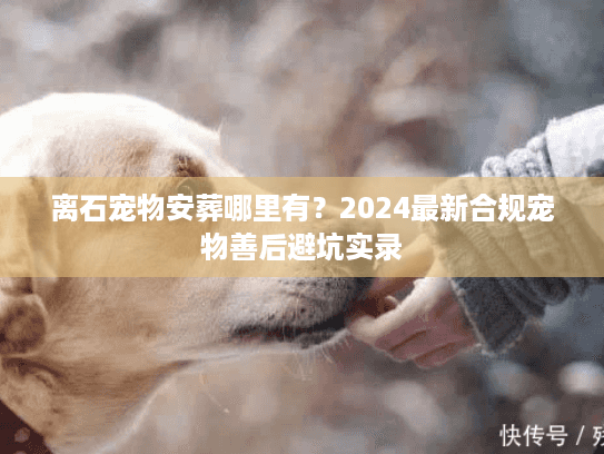 离石宠物安葬哪里有？2024最新合规宠物善后避坑实录