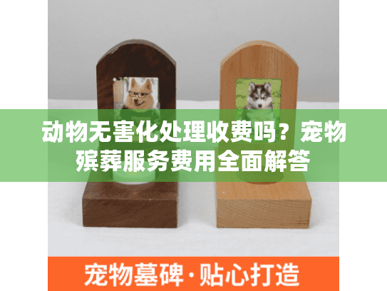 动物无害化处理收费吗？宠物殡葬服务费用全面解答