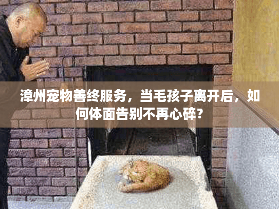 漳州宠物善终服务，当毛孩子离开后，如何体面告别不再心碎？