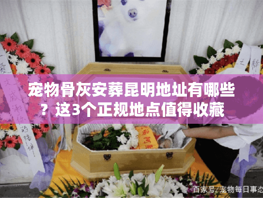 宠物骨灰安葬昆明地址有哪些?这3个正规地点值得收藏 宠物骨灰安葬昆明地址有哪些?这3个正规地点值得收藏
