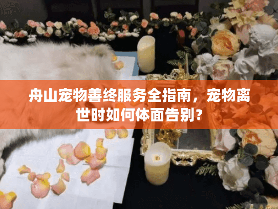 舟山宠物善终服务全指南，宠物离世时如何体面告别？
