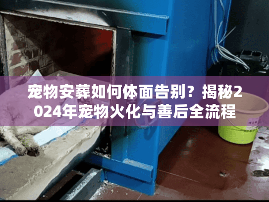 揭秘2024年宠物火化与善后全流程图片