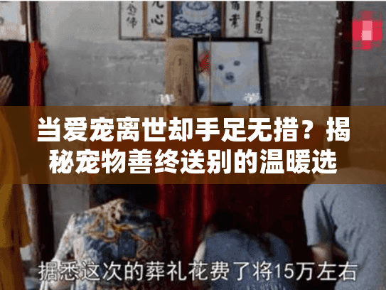 当爱宠离世却手足无措？揭秘宠物善终送别的温暖选择