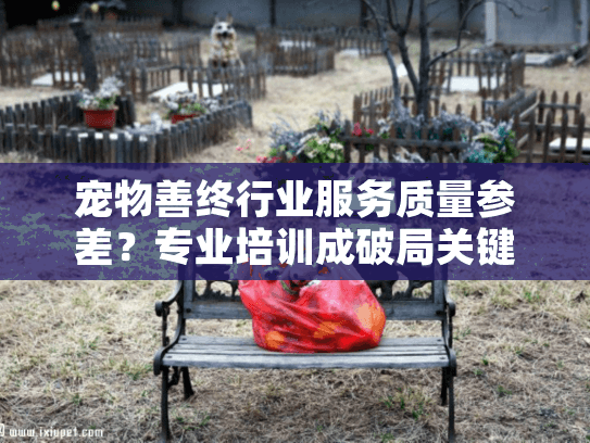 宠物善终行业服务质量参差？专业培训成破局关键