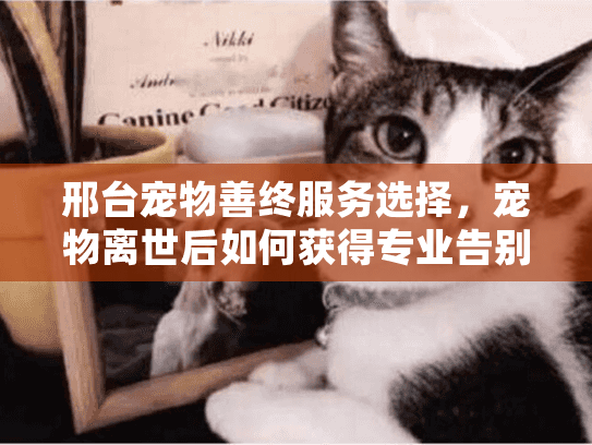 邢台宠物善终服务选择，宠物离世后如何获得专业告别？