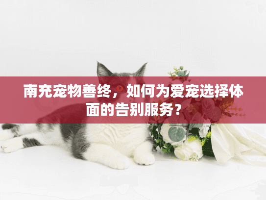 南充宠物善终，如何为爱宠选择体面的告别服务？