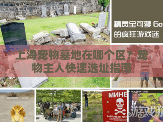 上海宠物墓地在哪个区？宠物主人快速选址指南