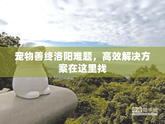 宠物善终洛阳难题，高效解决方案在这里找