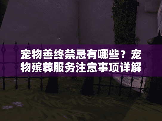 宠物善终禁忌有哪些？宠物殡葬服务注意事项详解