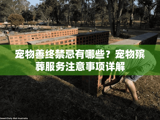 宠物善终禁忌有哪些？宠物殡葬服务注意事项详解