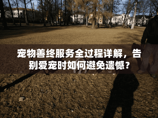 宠物善终服务全过程详解，告别爱宠时如何避免遗憾？