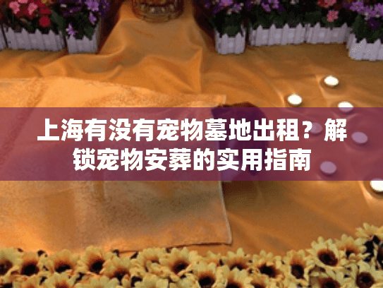 上海有没有宠物墓地出租？解锁宠物安葬的实用指南