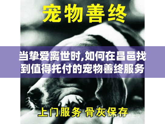 当挚爱离世时,如何在昌邑找到值得托付的宠物善终服务