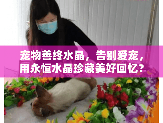 宠物善终水晶，告别爱宠，用永恒水晶珍藏美好回忆？