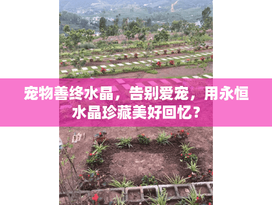 宠物善终水晶，告别爱宠，用永恒水晶珍藏美好回忆？