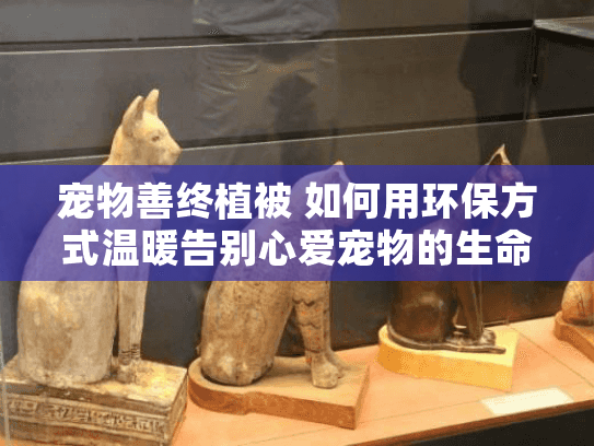 宠物善终植被 如何用环保方式温暖告别心爱宠物的生命？