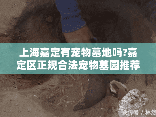 上海嘉定有宠物墓地吗?嘉定区正规合法宠物墓园推荐及服务指南