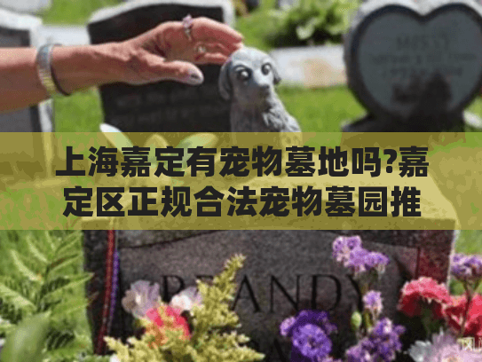 上海嘉定有宠物墓地吗?嘉定区正规合法宠物墓园推荐及服务指南