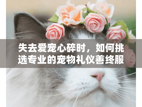 失去爱宠心碎时，如何挑选专业的宠物礼仪善终服务？