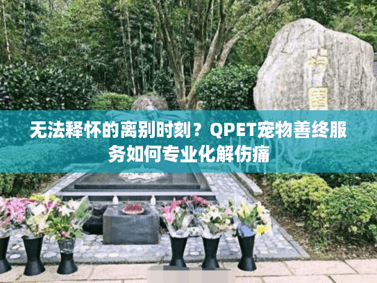 无法释怀的离别时刻？QPET宠物善终服务如何专业化解伤痛