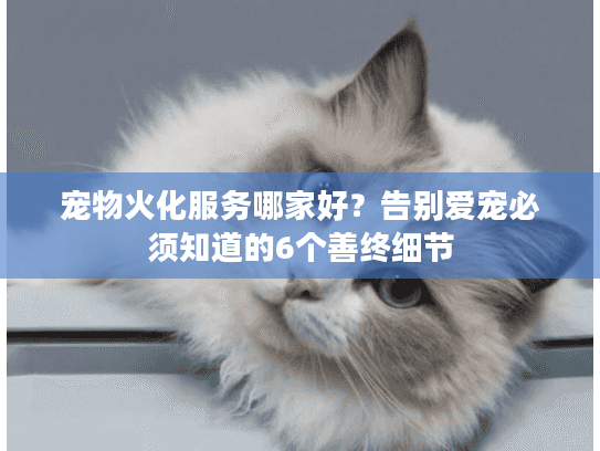 宠物火化服务哪家好？告别爱宠必须知道的6个善终细节