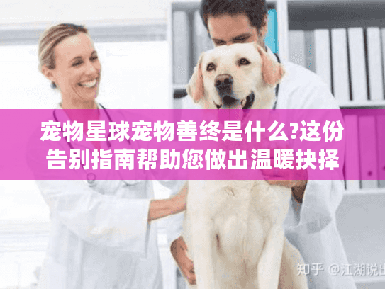 宠物星球宠物善终是什么?这份告别指南帮助您做出温暖抉择