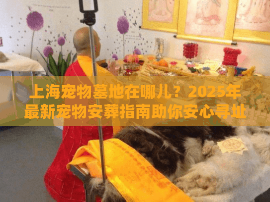 上海宠物墓地在哪儿？2025年最新宠物安葬指南助你安心寻址